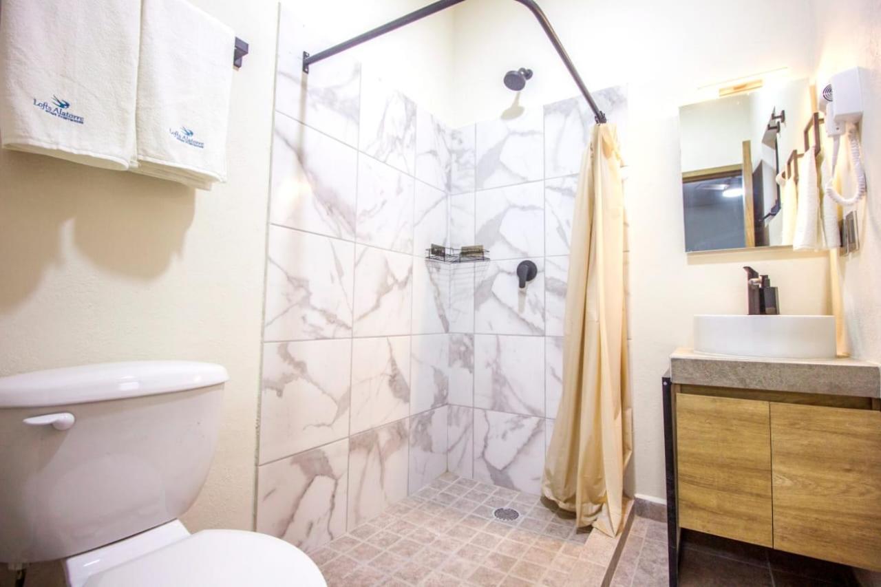Loft Alatorre Aparthotel Guadalajara Esterno foto